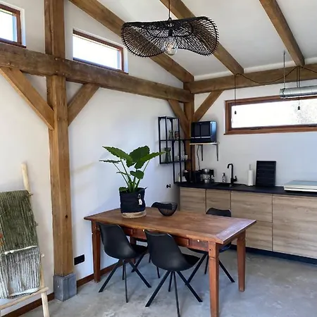 Zantverde * Zandvoort