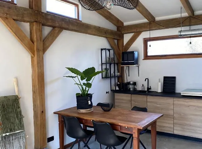 Zantverde * Zandvoort